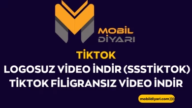 Tiktok Logosuz Video İndir (sssTiktok) Tiktok Filigransız Video İndir