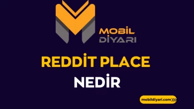 Reddit Place Nedir