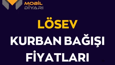 Lösev kurba bağışı fiyatları