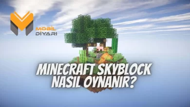 Minecraft Skyblock Nasıl Oynanır?